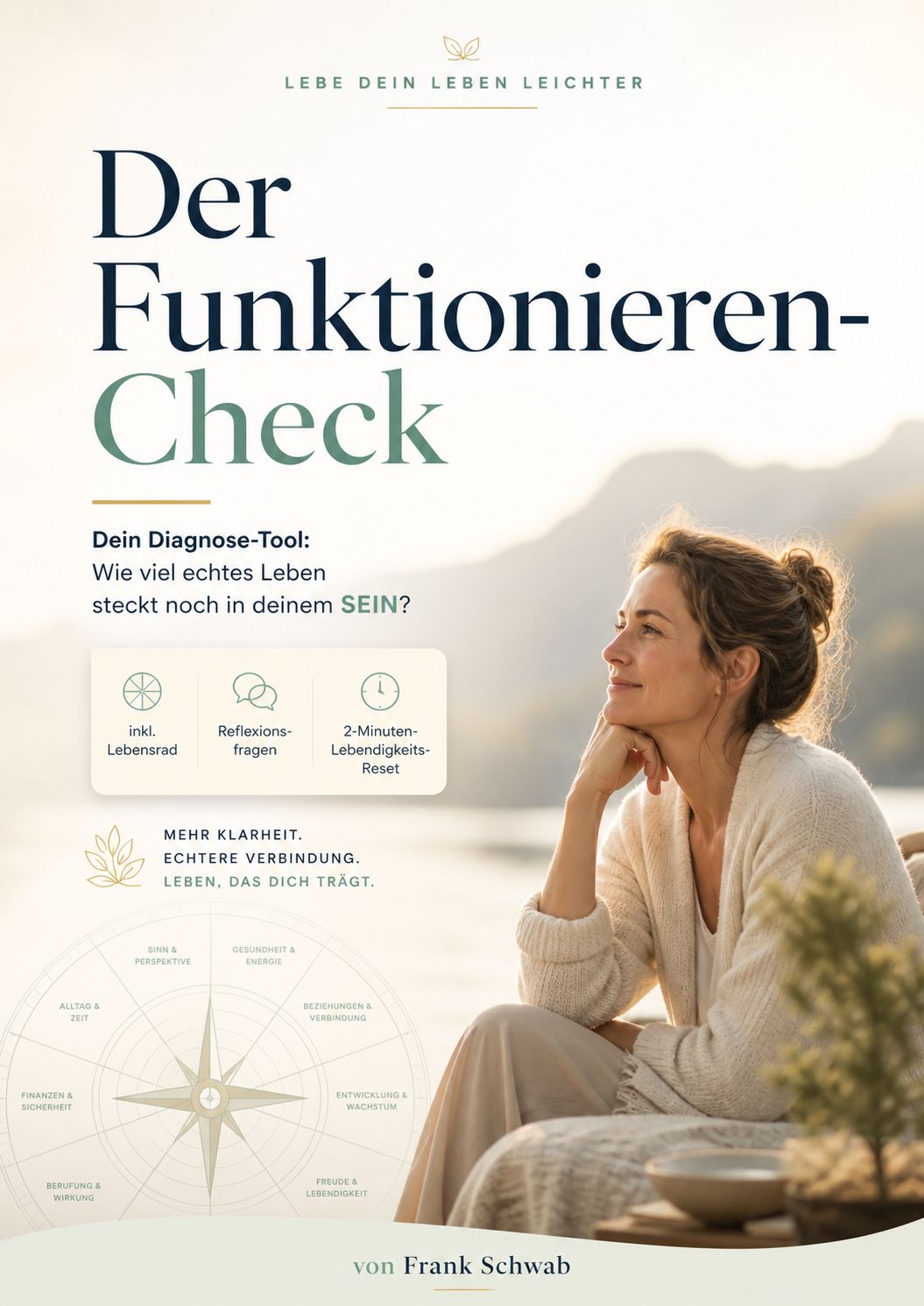 PDF-Cover Der Funktionieren-Check von Frank Schwab